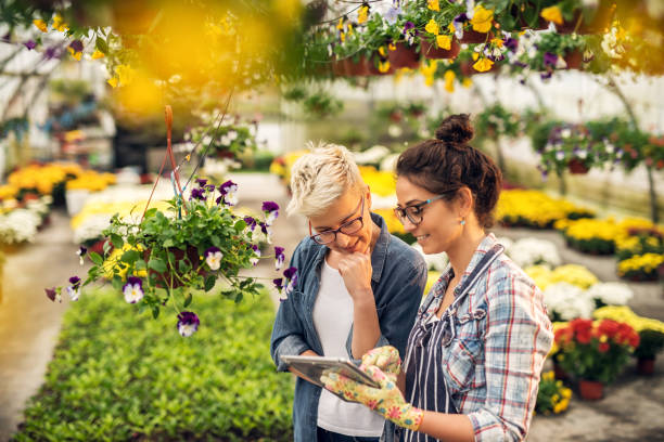 istockphoto-915892582-612x612.jpg